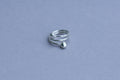 Double Circular Orbit Ring
